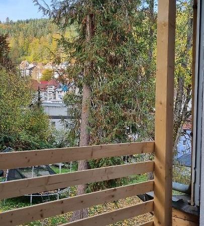 Sm3 Apartment Triberg im Schwarzwald Ngoại thất bức ảnh