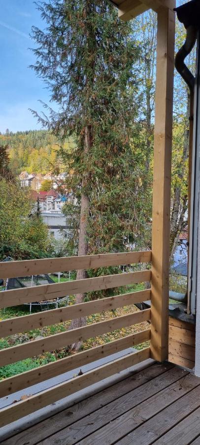 Sm3 Apartment Triberg im Schwarzwald Ngoại thất bức ảnh